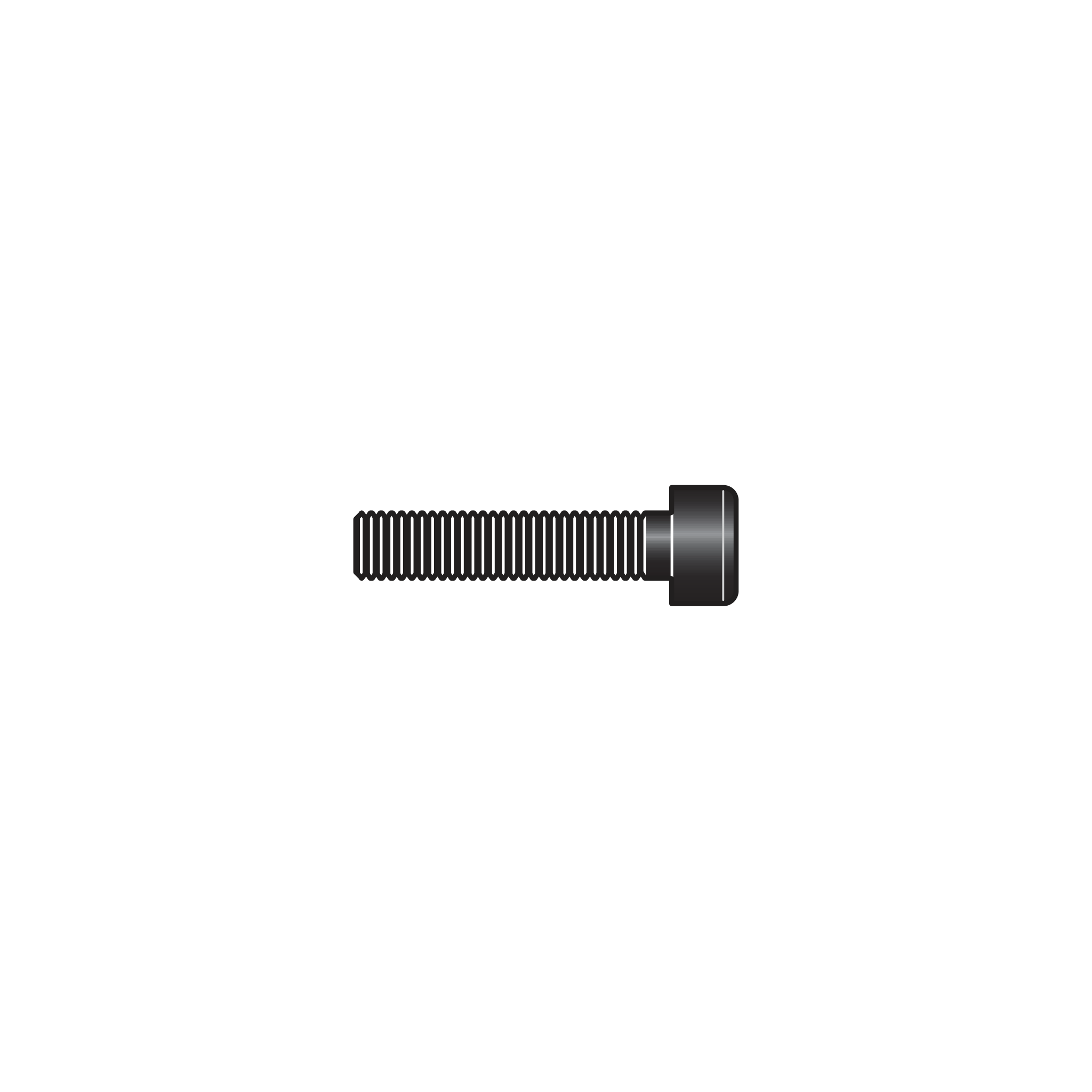 200/6 Screw - Product - Main View