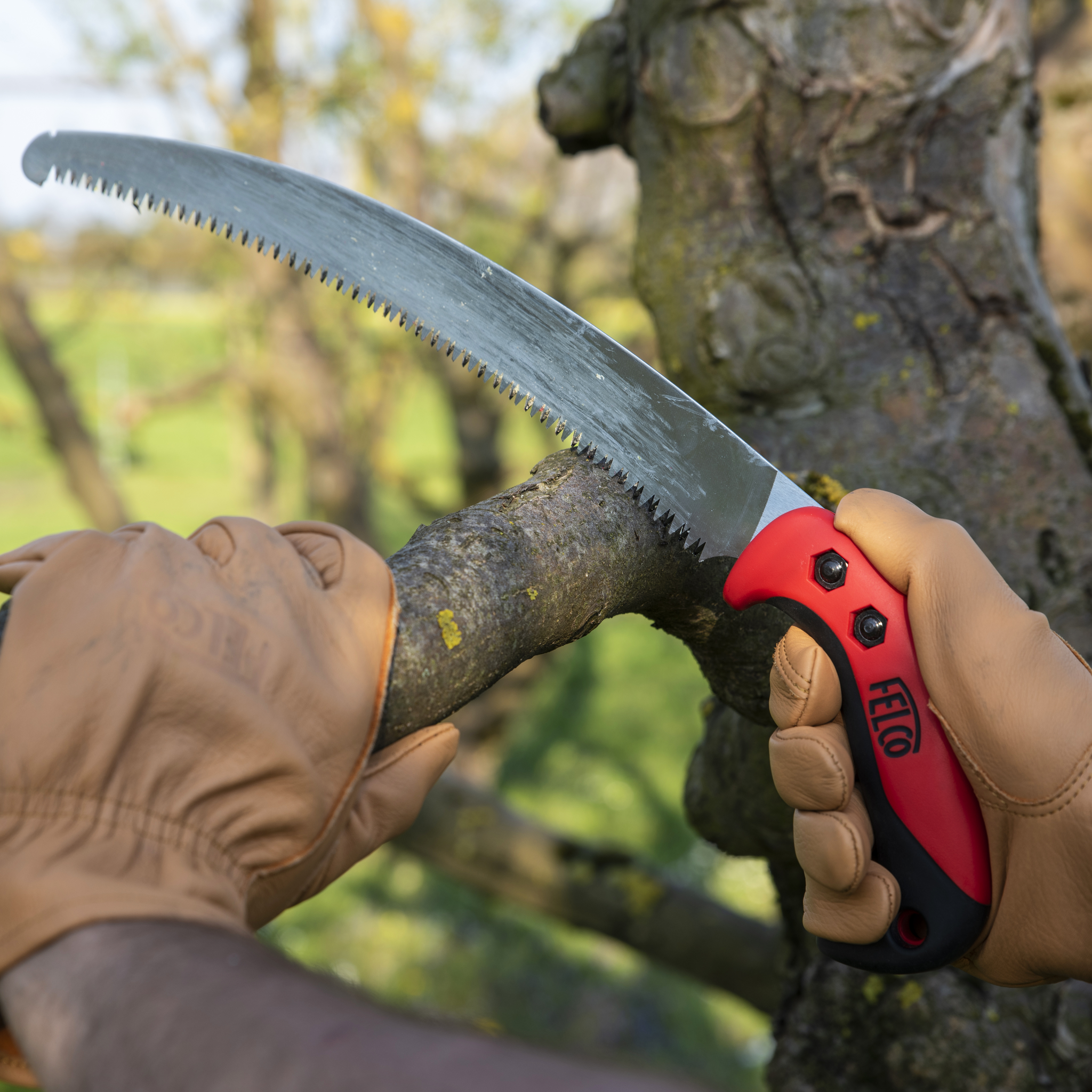 FELCO 703