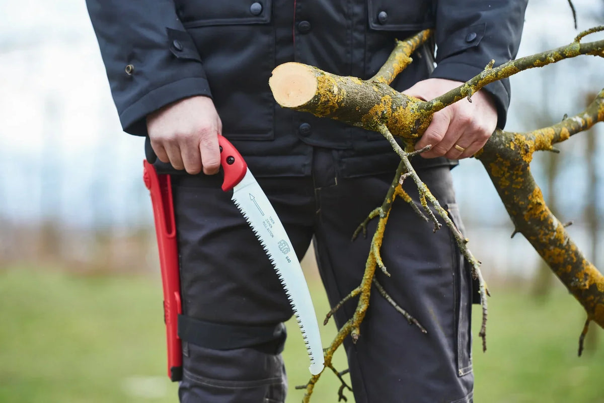 Best Pruning Saws for Everyday and Heavy-Duty Pruning