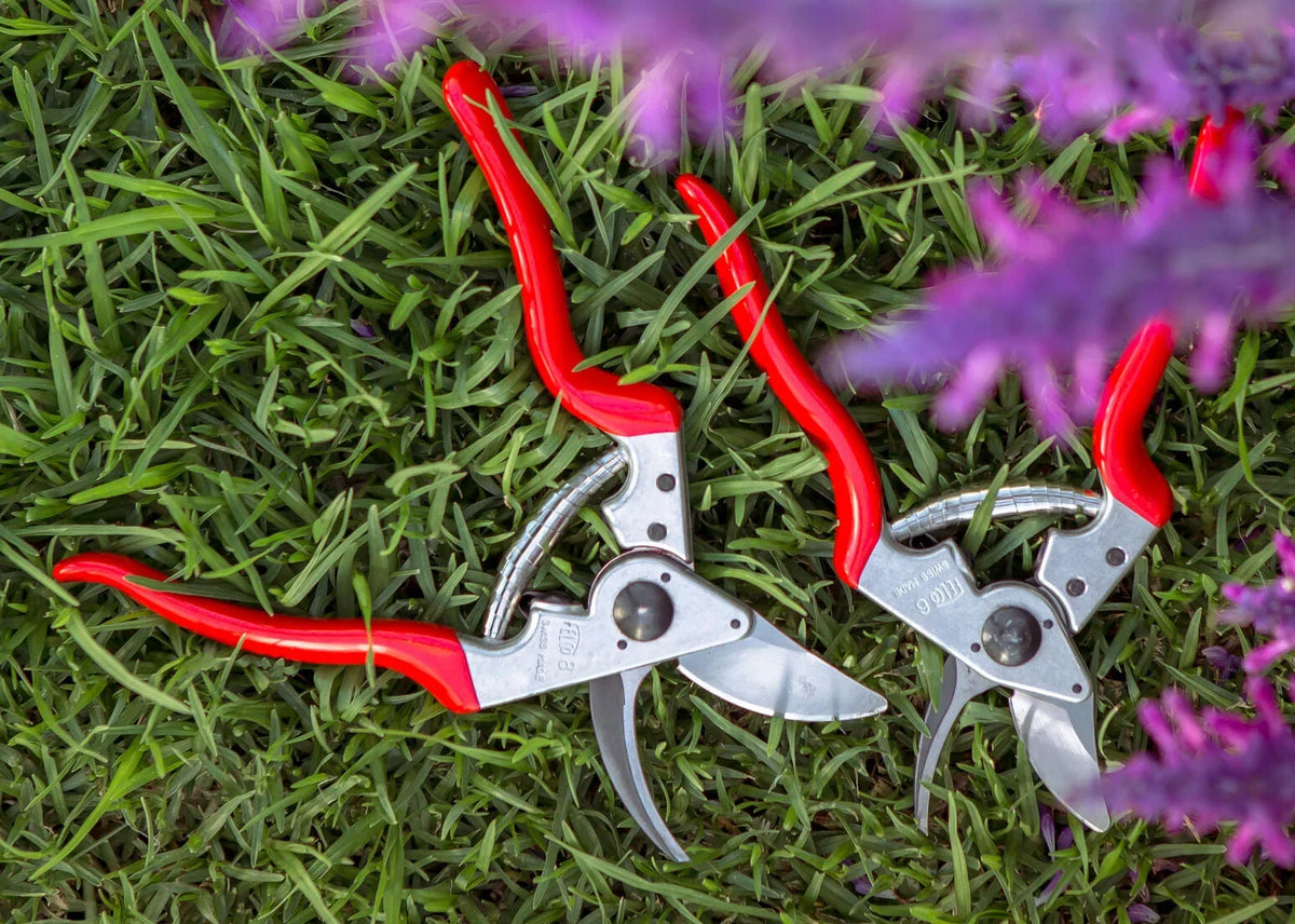 bypass hand pruning shears