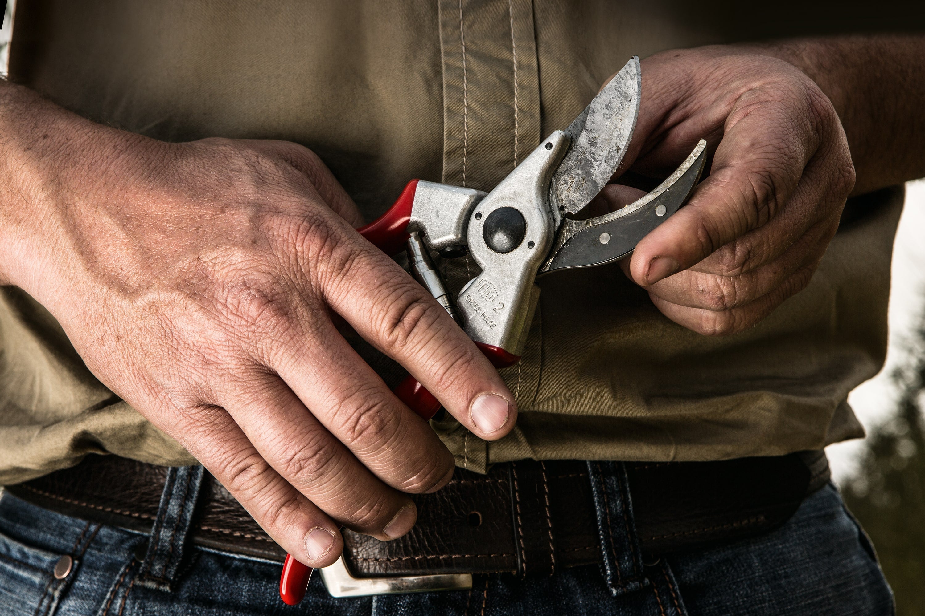 Pruning shears