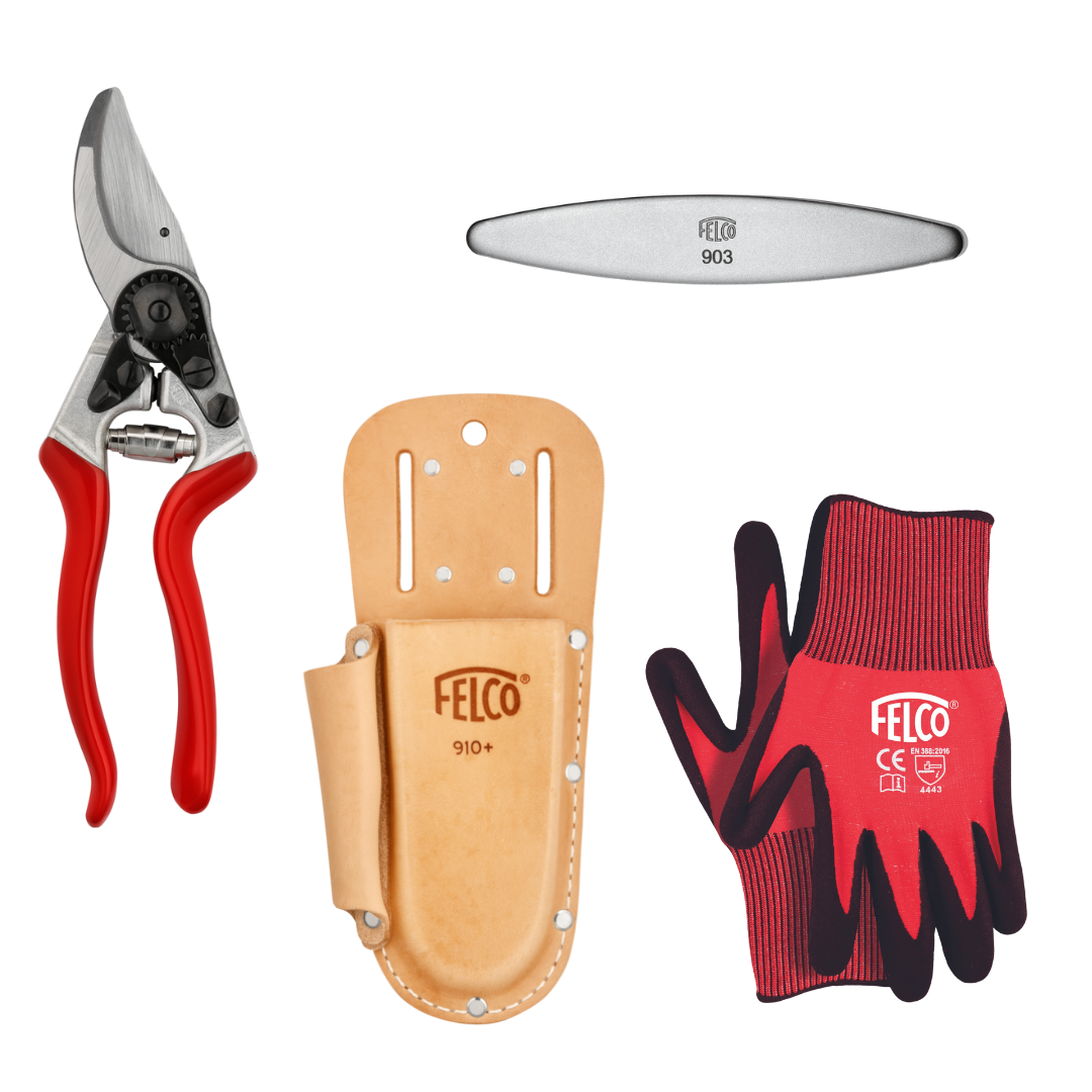 The Starter Pack (L)