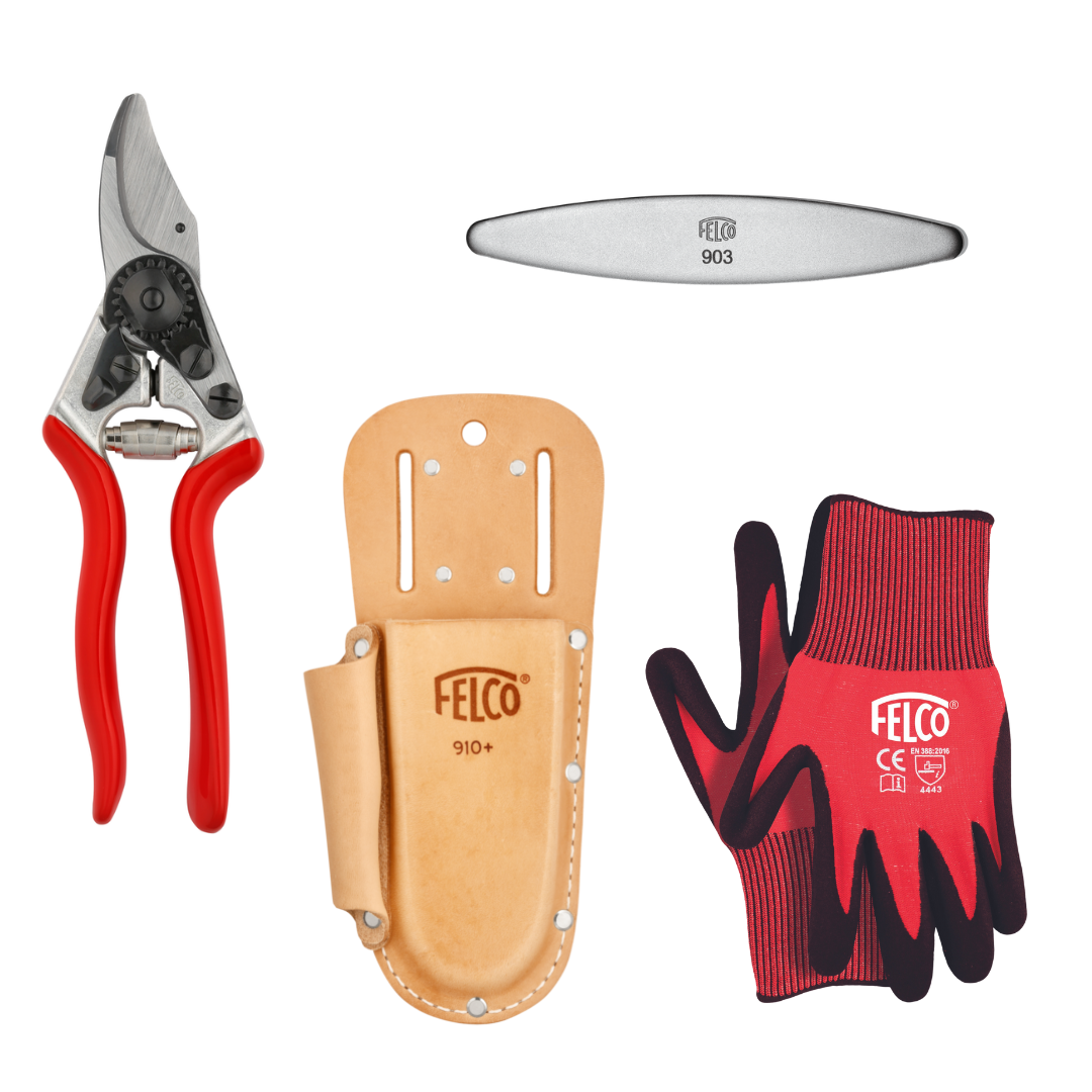 The Starter Pack (M)