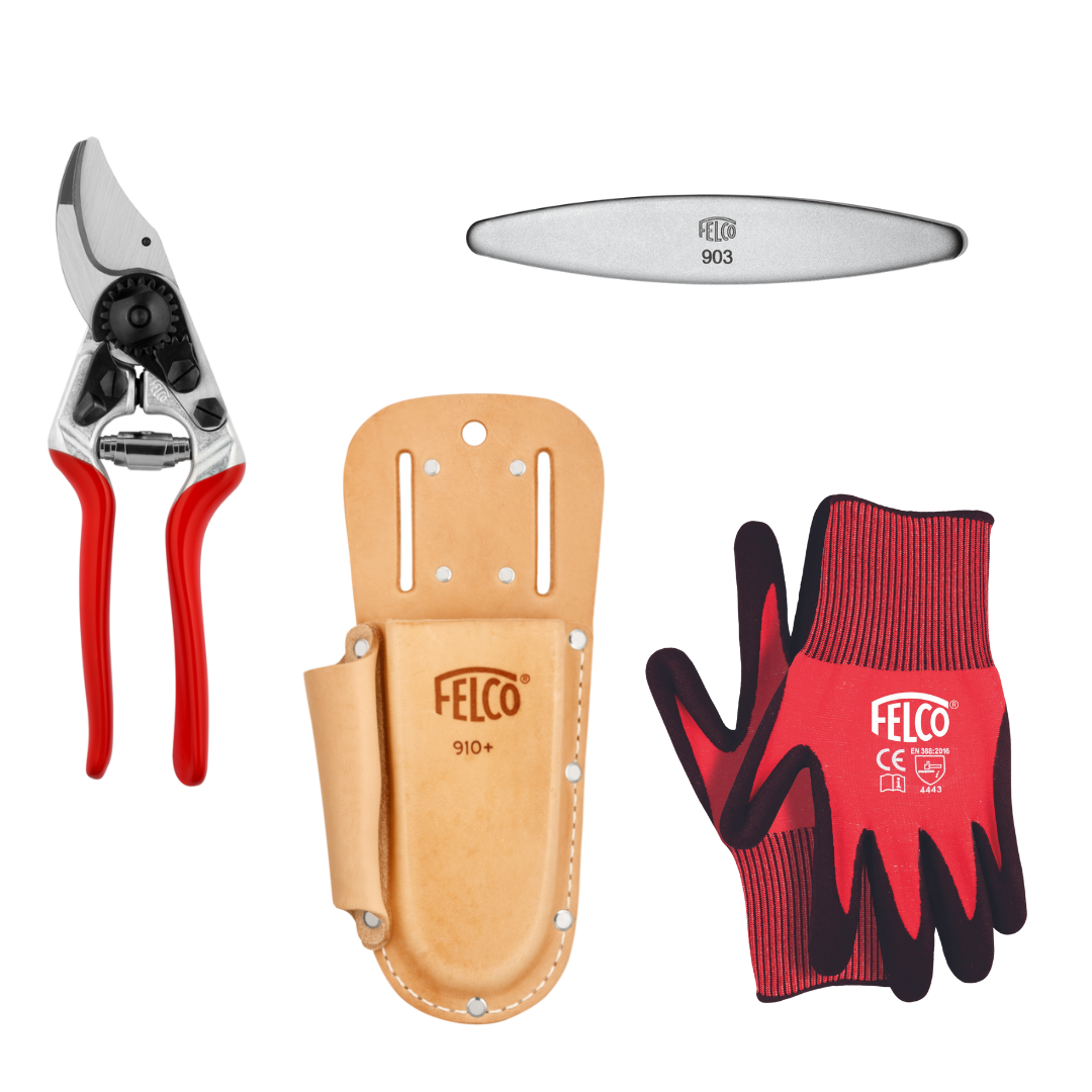 The Starter Pack (S)