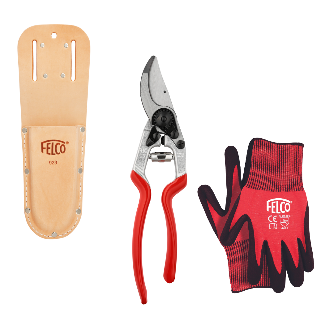 The Starter Pack (XL)