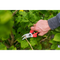 Pruning shears