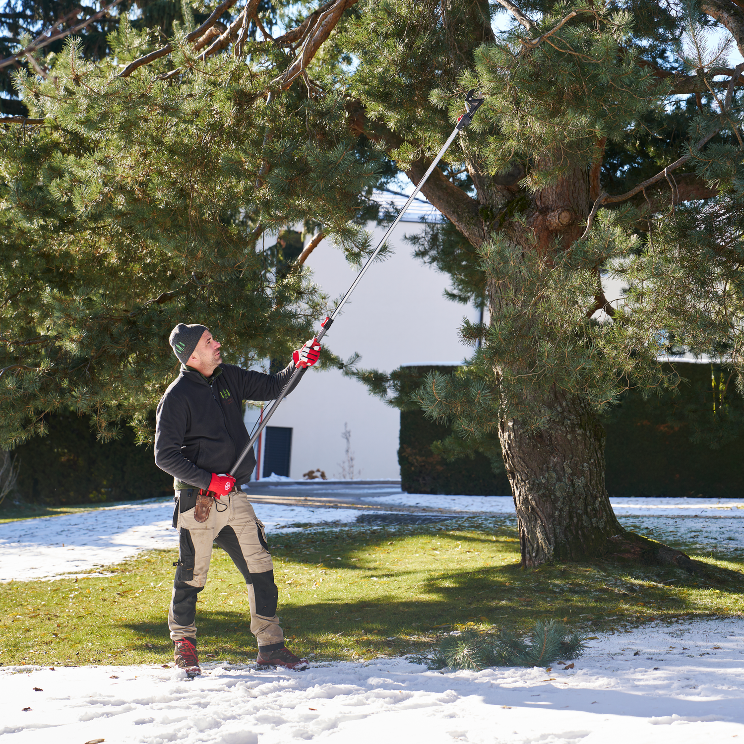 FELCO 290-4M Pole Pruner