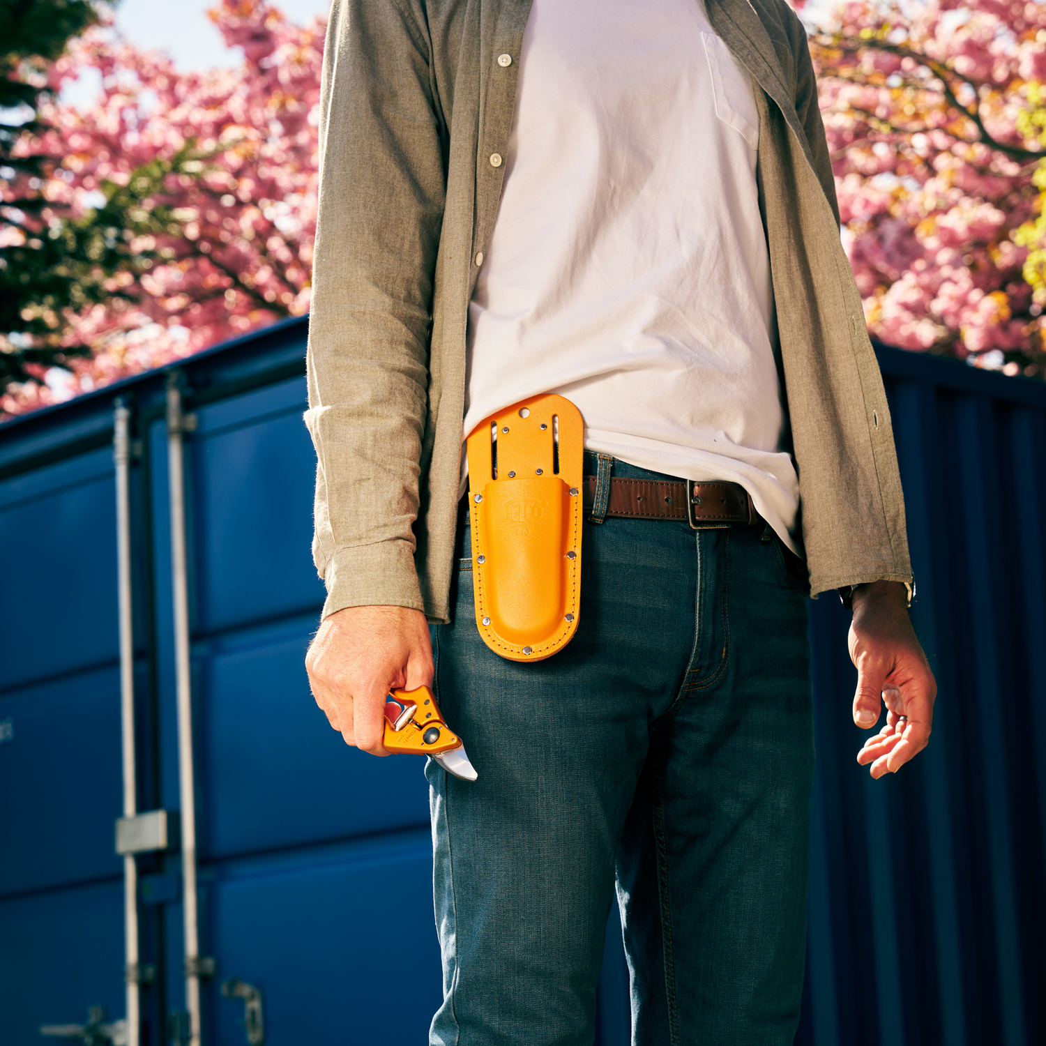 FELCO 910 Mandarinier en fleur