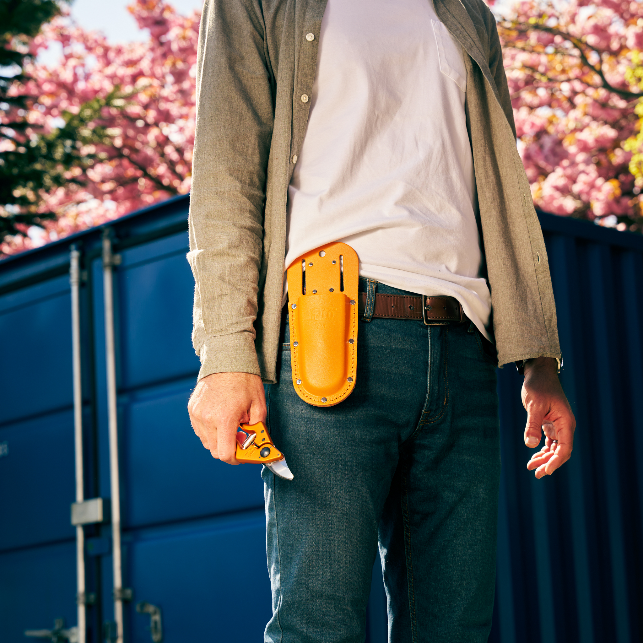 FELCO 910 Mandarinier en fleur