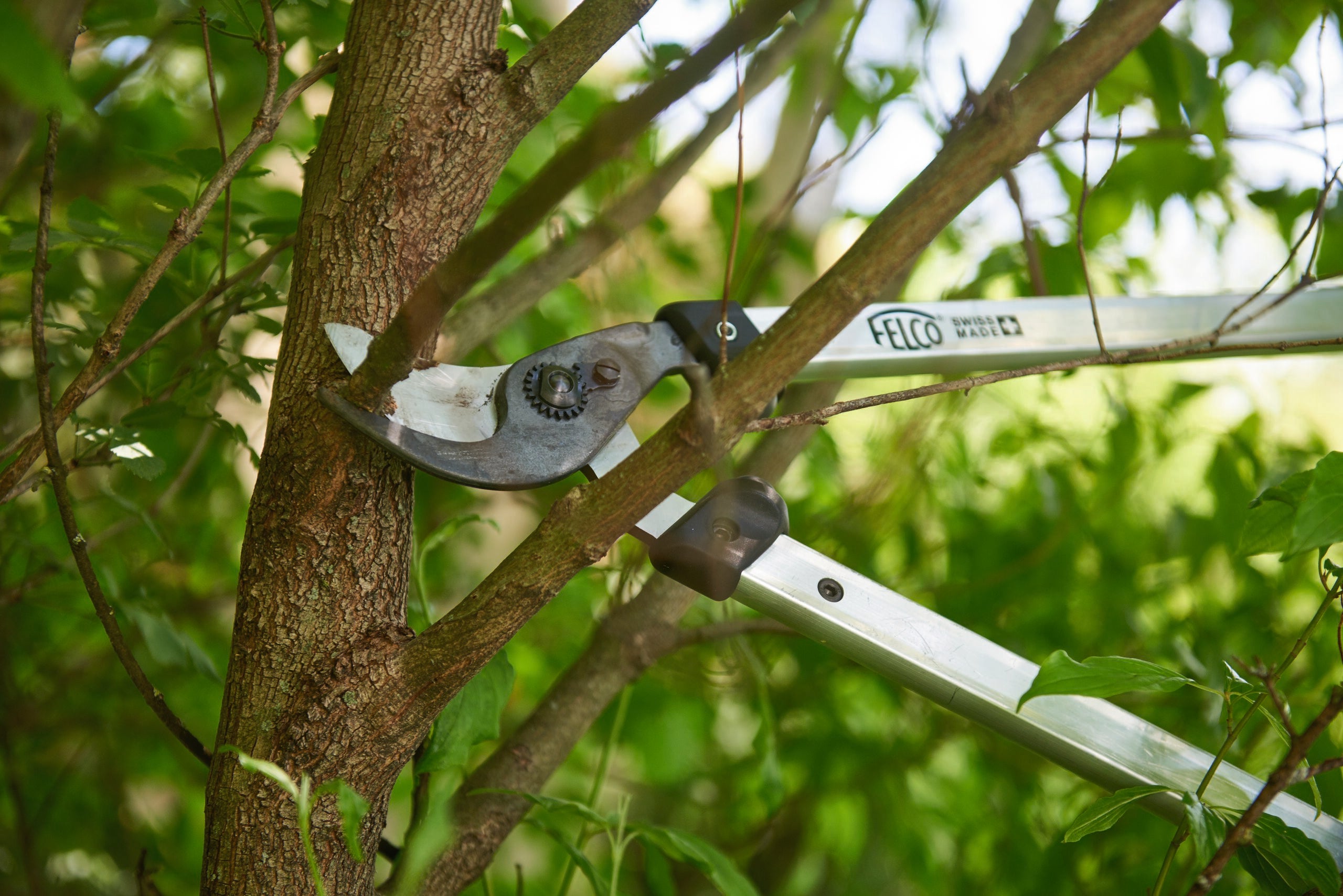 The Heavy Duty Gardener