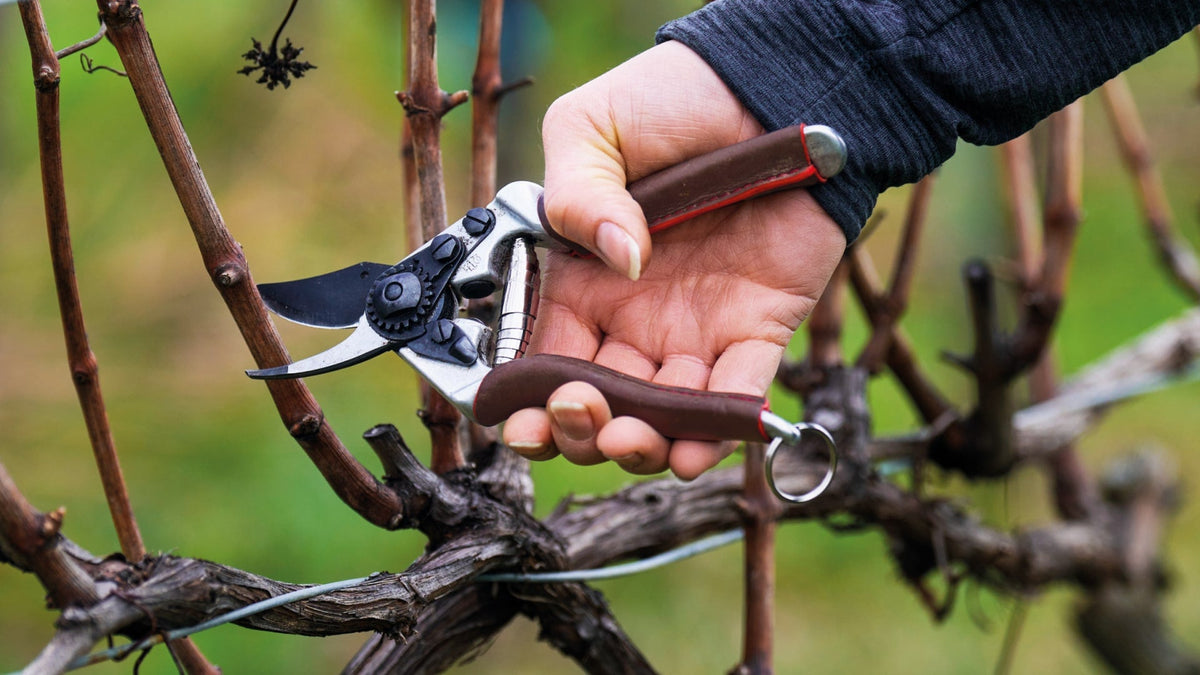FELCO Canada | Swiss Precision Gardening Tools. Made to Last | Official ...